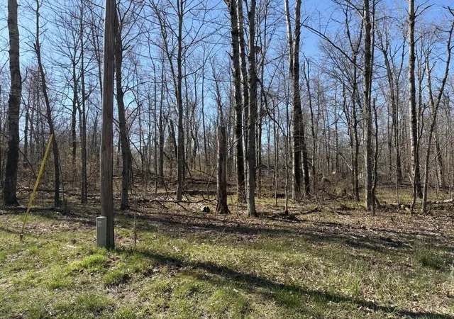 Photo 3 of Land for sale at Lot 183 186 Shadowbrook Dr, Lake, MI 48632 | MLS# 50206447 | Listing updated on 2026-06-08