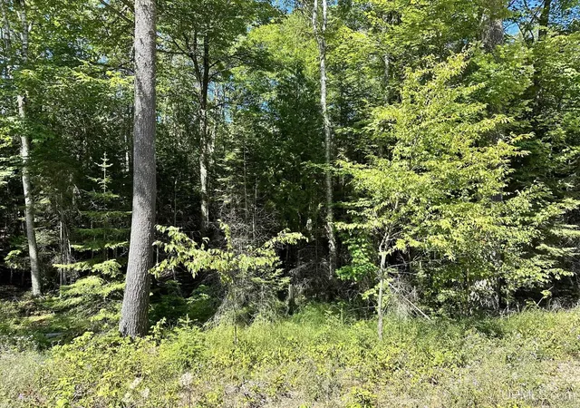 Homes for sale in Manistique, MI | Tbd Hemlock Views Trl, Manistique, MI 49854 | MLS# 50211725