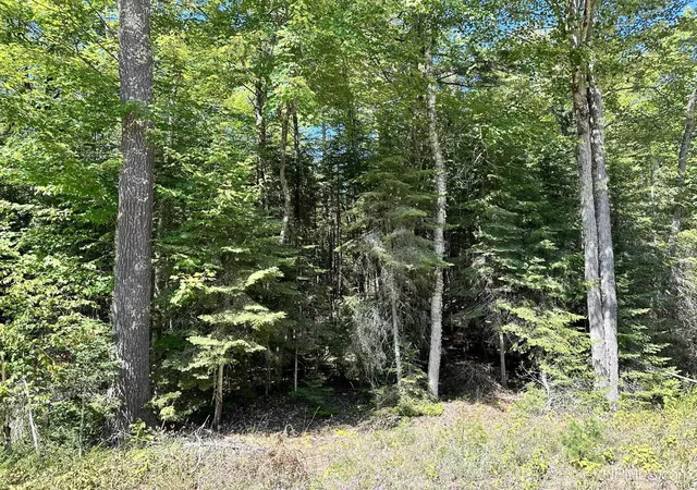 Homes for sale in Manistique, MI | Tbd Hemlock Views Trl, Manistique, MI 49854 | MLS# 50211725