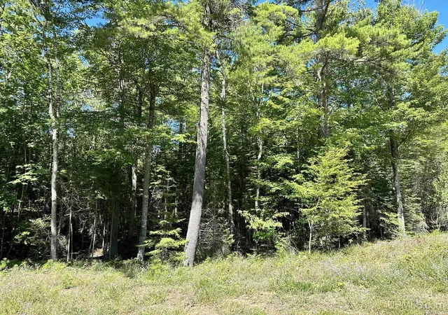 Homes for sale in Manistique, MI | Tbd Hemlock Views Trl, Manistique, MI 49854 | MLS# 50211725