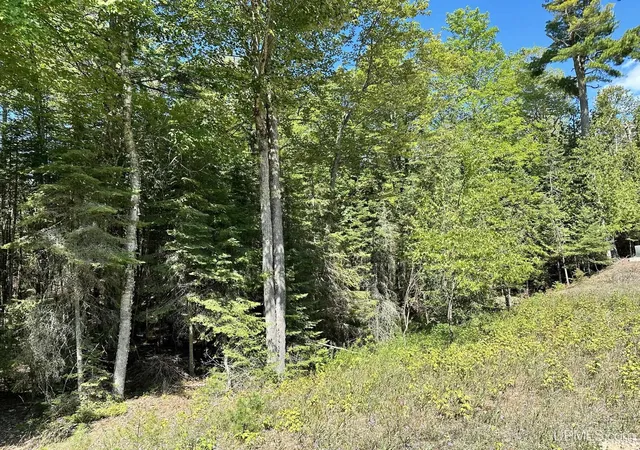 Homes for sale in Manistique, MI | Tbd Hemlock Views Trl, Manistique, MI 49854 | MLS# 50211725