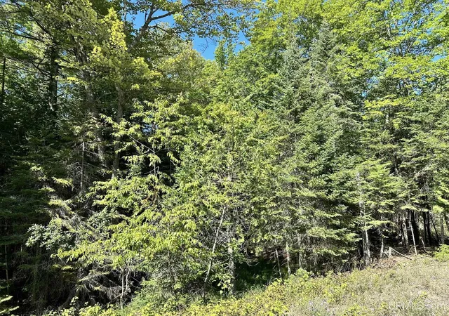 Homes for sale in Manistique, MI | Tbd Hemlock Views Trl, Manistique, MI 49854 | MLS# 50211725