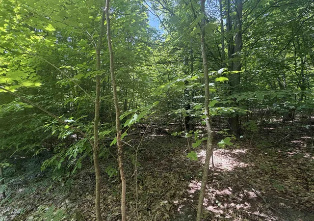 Homes for sale in Traverse City, MI | 0 S Lou Len Ln, Traverse City, MI 49684 | MLS# 80070828