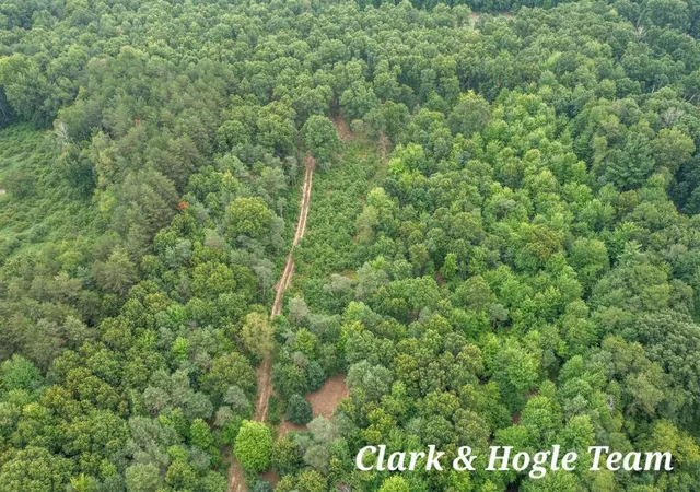 4th image of V/L N Westbrook Rd, Ionia, MI 48846 | MLS# 70552611