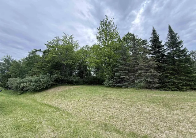 Photo 3 of Sale Pending at Vl Stillwagon Rd, Gladwin, MI 48624 | MLS# 50210912 | Listing updated on 2026-09-02