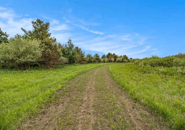 Photo 4 of Land for sale at Reek Rd 2977 Acres V/l, Custer, MI 49405 | MLS# 70470005 | Listing updated on 2025-10-18