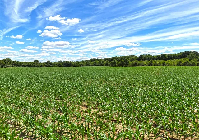 Photo 3 of Land for sale at 1259 Territorial Rd, Benton Harbor, MI 49022 | MLS# 70539256 | Listing updated on 2026-07-23