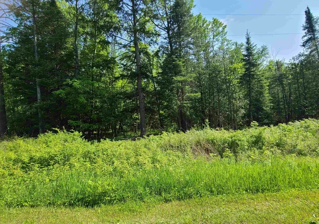 Homes for sale in Barton City, MI | 1281 W Trask Lake Rd, Barton City, MI 48705 | MLS# 80069007