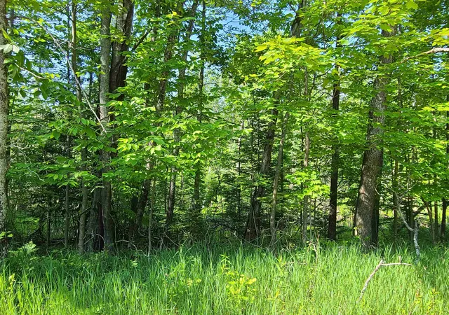 Homes for sale in Barton City, MI | 1281 W Trask Lake Rd, Barton City, MI 48705 | MLS# 80069007