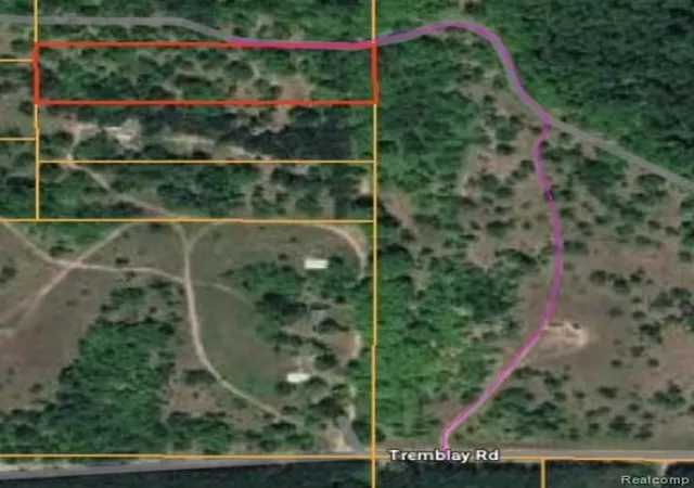 3rd image of V/l Tremblay Rd, Mancelona, MI 49659 | MLS# 61022918