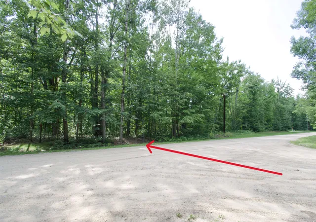 Photo 2 of Land for sale at Tbd Valleyview Dr, Elmira, MI 49730 | MLS# 80072048 | Listing updated on 2026-08-11
