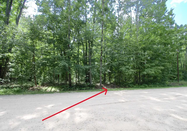 Photo 3 of Land for sale at Tbd Valleyview Dr, Elmira, MI 49730 | MLS# 80072048 | Listing updated on 2026-08-11