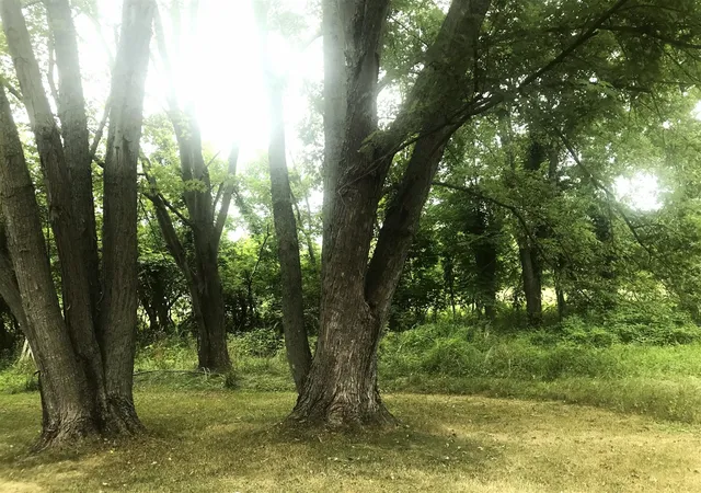 3rd image of 6550 1 1/2 Mile Rd, East Leroy, MI 49051 | MLS# 70551732