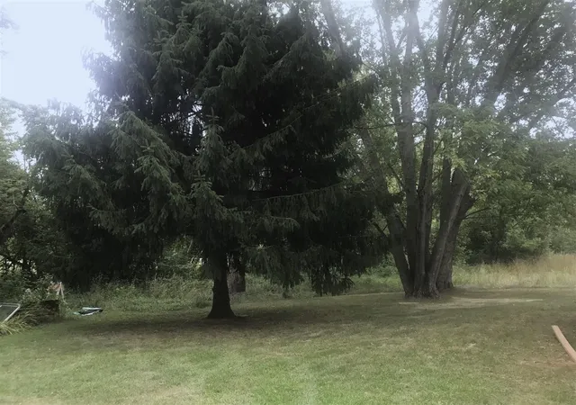 5th image of 6550 1 1/2 Mile Rd, East Leroy, MI 49051 | MLS# 70551732
