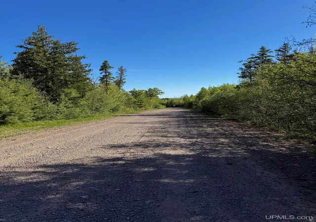 Homes for sale in Allouez, MI | Lot A Gratiot River Rd, Allouez, MI 49805 | MLS# 50210242