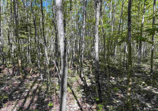 Homes for sale in Allouez, MI | Lot A Gratiot River Rd, Allouez, MI 49805 | MLS# 50210242