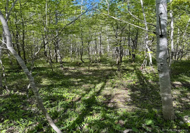 Homes for sale in Allouez, MI | Lot A Gratiot River Rd, Allouez, MI 49805 | MLS# 50210242
