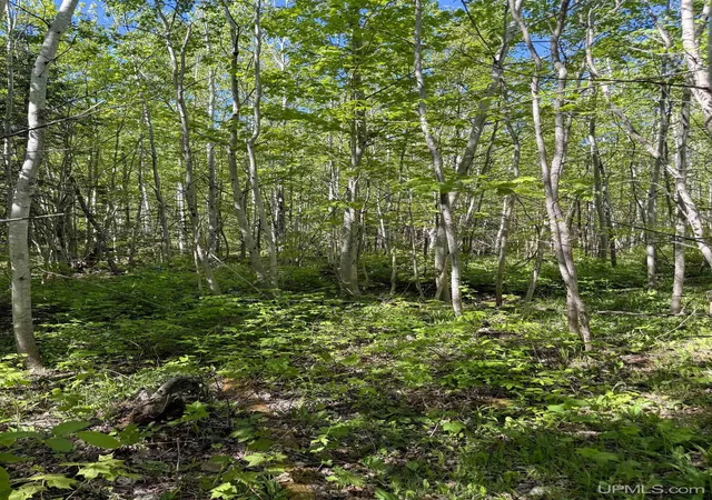 Homes for sale in Allouez, MI | Lot A Gratiot River Rd, Allouez, MI 49805 | MLS# 50210242