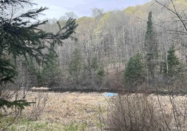 Homes for sale in Iron River, MI | Lot 30 River Country Rd, Iron River, MI 49935 | MLS# 50199388