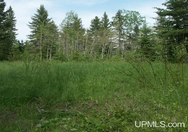 Homes for sale in Iron River, MI | Lot 30 River Country Rd, Iron River, MI 49935 | MLS# 50199388