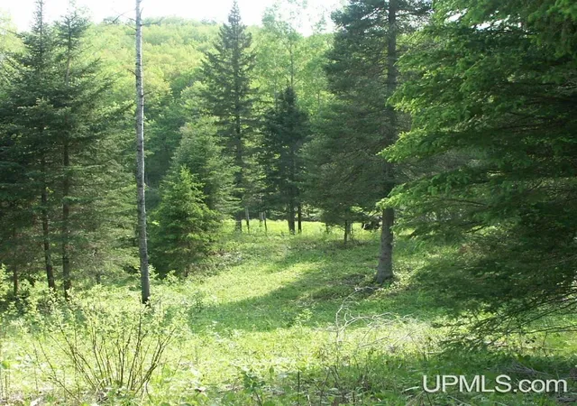 Homes for sale in Iron River, MI | Lot 30 River Country Rd, Iron River, MI 49935 | MLS# 50199388