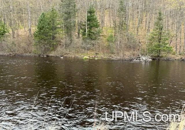 Homes for sale in Iron River, MI | Lot 30 River Country Rd, Iron River, MI 49935 | MLS# 50199388