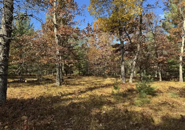 Photo 3 of Land for sale at Parcel 12 County Line Rd, Manistee, MI 49660 | MLS# 70519672 | Listing updated on 2026-09-16