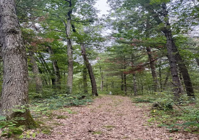 Photo 1 of Land for sale at V/l Round Lake Dr, Holton, MI 49425 | MLS# 70552090 | Listing updated on 2026-09-08
