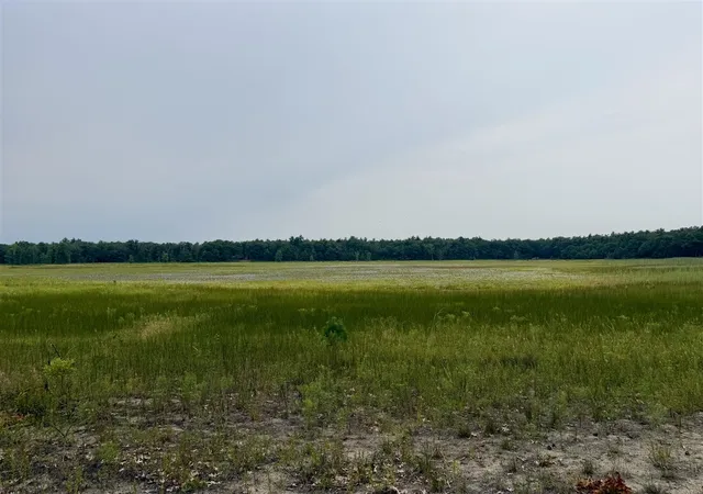 Photo 3 of Land for sale at V/l Round Lake Dr, Holton, MI 49425 | MLS# 70552090 | Listing updated on 2026-09-08