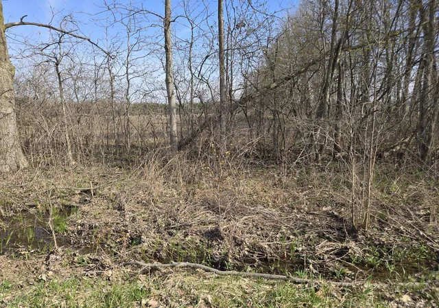 Homes for sale in Richmond Twp, MI | 0 Meskill (Lot C) Rd, Richmond Twp, MI 48063 | MLS# 50206938