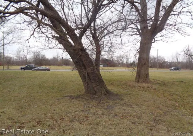 Photo 3 of Land for sale at 3330 14th St, Detroit, MI 48208 | MLS# 60180386 | Listing updated on 2026-07-06