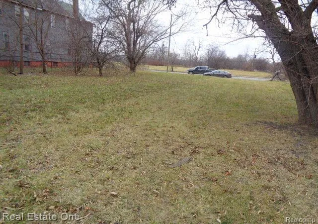 Photo 3 of Land for sale at 3330 14Th St, Detroit, MI 48208 | MLS# 60180386 | Listing updated on 2026-07-06