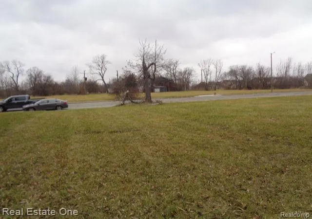Photo 4 of Land for sale at 3330 14Th St, Detroit, MI 48208 | MLS# 60180386 | Listing updated on 2026-07-06