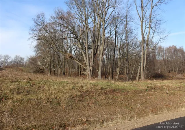 Photo 1 of Land for sale at 0 Lindsey Unit 27 Rd, Jackson, MI 49201 | MLS# 70378275 | Listing updated on 2026-08-31