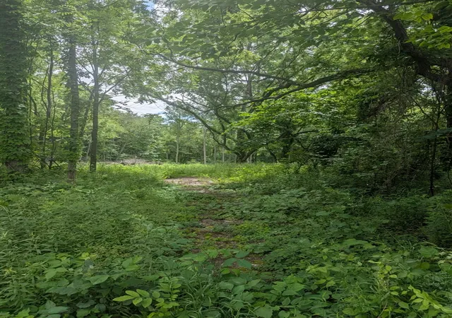Photo 1 of Land for sale at M 43, Bangor, MI 49013 | MLS# 70550508 | Listing updated on 2026-08-06