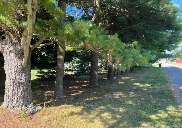 33rd image of 126 Johnson St, Edmore, MI 48829 | MLS# 70545285