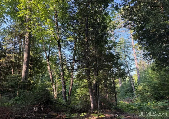 Homes for sale in Republic, MI | 0 Off Granite Lake Rd, Republic, MI 49879 | MLS# 50214643