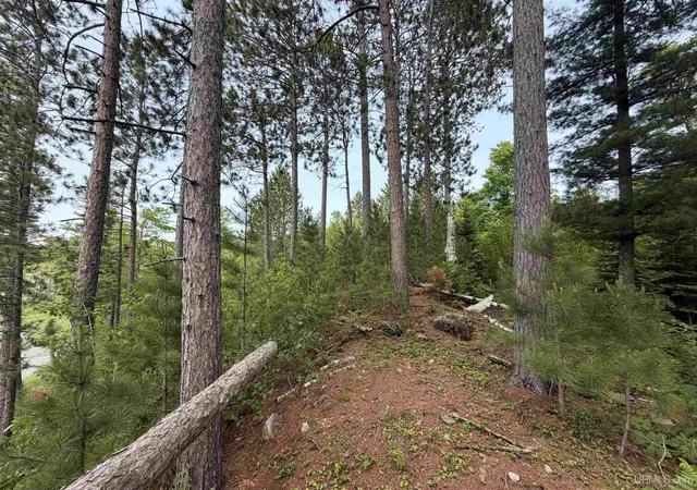 Homes for sale in Republic, MI | 0 Off Granite Lake Rd, Republic, MI 49879 | MLS# 50214643