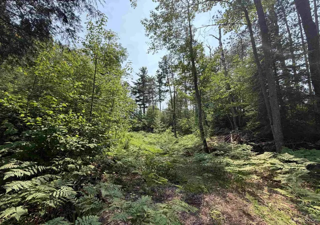 Homes for sale in Republic, MI | 0 Off Granite Lake Rd, Republic, MI 49879 | MLS# 50214643