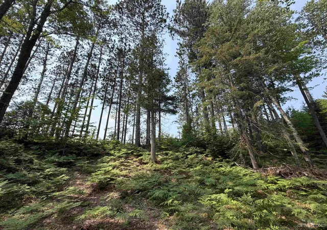 Homes for sale in Republic, MI | 0 Off Granite Lake Rd, Republic, MI 49879 | MLS# 50214643