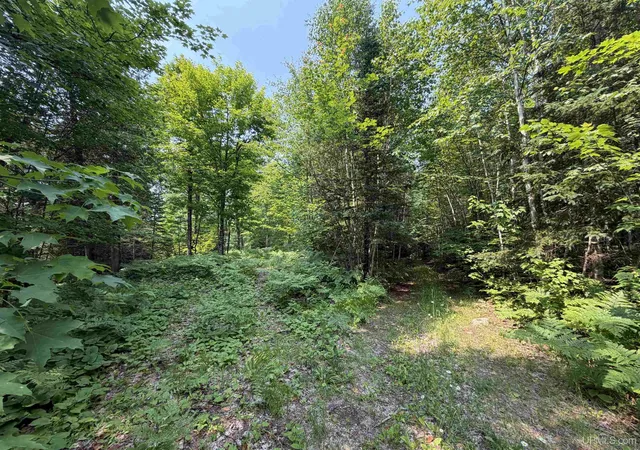 Homes for sale in Republic, MI | 0 Off Granite Lake Rd, Republic, MI 49879 | MLS# 50214643