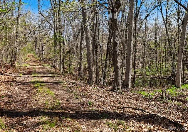 Photo 1 of Land for sale at Parcel #3 Milford Rd, Holly, MI 48442 | MLS# 60990926 | Listing updated on 2026-06-05