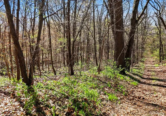 Photo 2 of Land for sale at Parcel #3 Milford Rd, Holly, MI 48442 | MLS# 60990926 | Listing updated on 2026-06-05