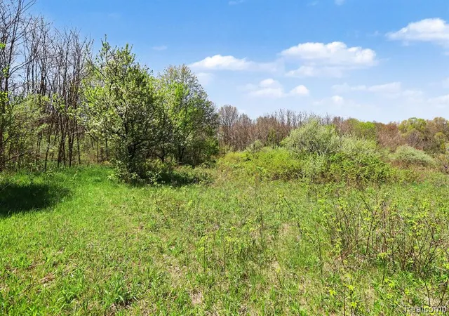 Photo 4 of Land for sale at Parcel #3 Milford Rd, Holly, MI 48442 | MLS# 60990926 | Listing updated on 2026-06-05