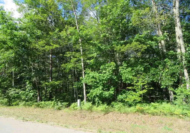 4th image of 2089 E Log Lake Rd, Kalkaska, MI 49646 | MLS# 80072483
