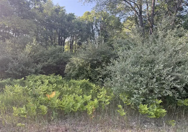 Photo 1 of Land for sale at 6380 Clubhouse Dr E, Stanwood, MI 49346 | MLS# 70545731 | Listing updated on 2026-07-23