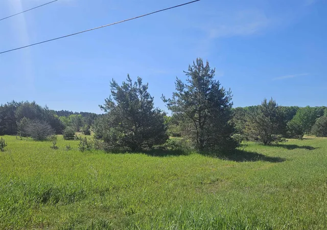 1st image of 0000 V/l Nw Smith Rd, Rapid City, MI 49676 | MLS# 80070987