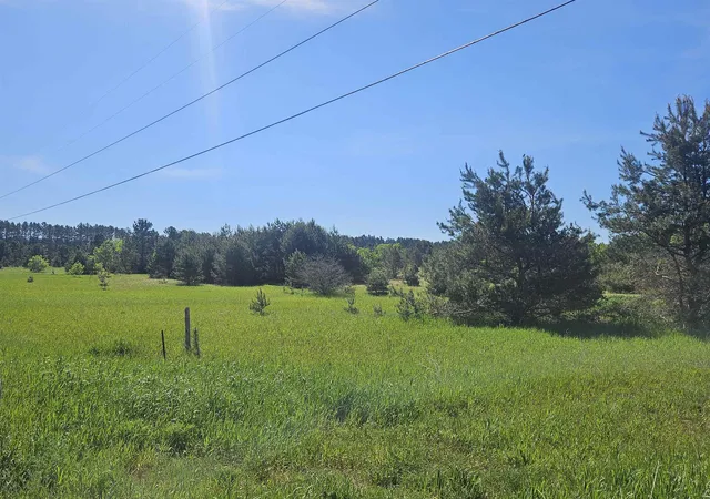 2nd image of 0000 V/l Nw Smith Rd, Rapid City, MI 49676 | MLS# 80070987