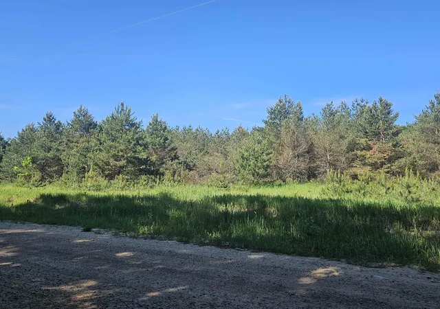 4th image of 0000 V/L Nw Smith Rd, Rapid City, MI 49676 | MLS# 80070987