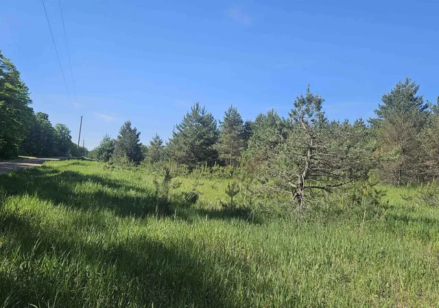 5th image of 0000 V/L Nw Smith Rd, Rapid City, MI 49676 | MLS# 80070987
